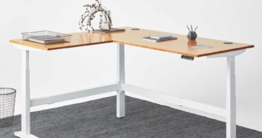PROGRESSIVE AUTOMATIONS L Shaped Standing Desk Review – The Corner Ryzer Desk