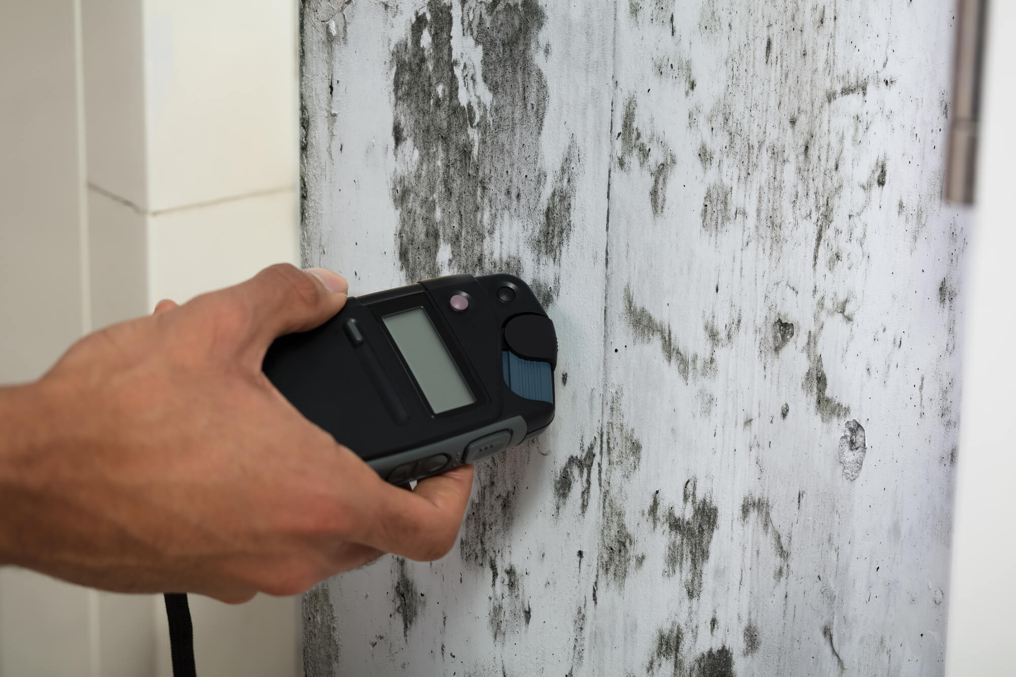 Detect and Protect: The Essential Guide to Mold Inspection for Homeowners