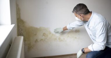 Mold Allergies: Symptoms, Causes, and Treatments