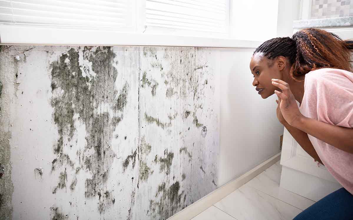 Mold Allergies: Symptoms, Causes, and Treatments