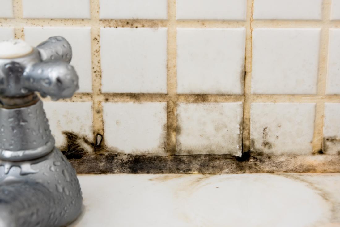 Mold Allergies: Symptoms, Causes, and Treatments