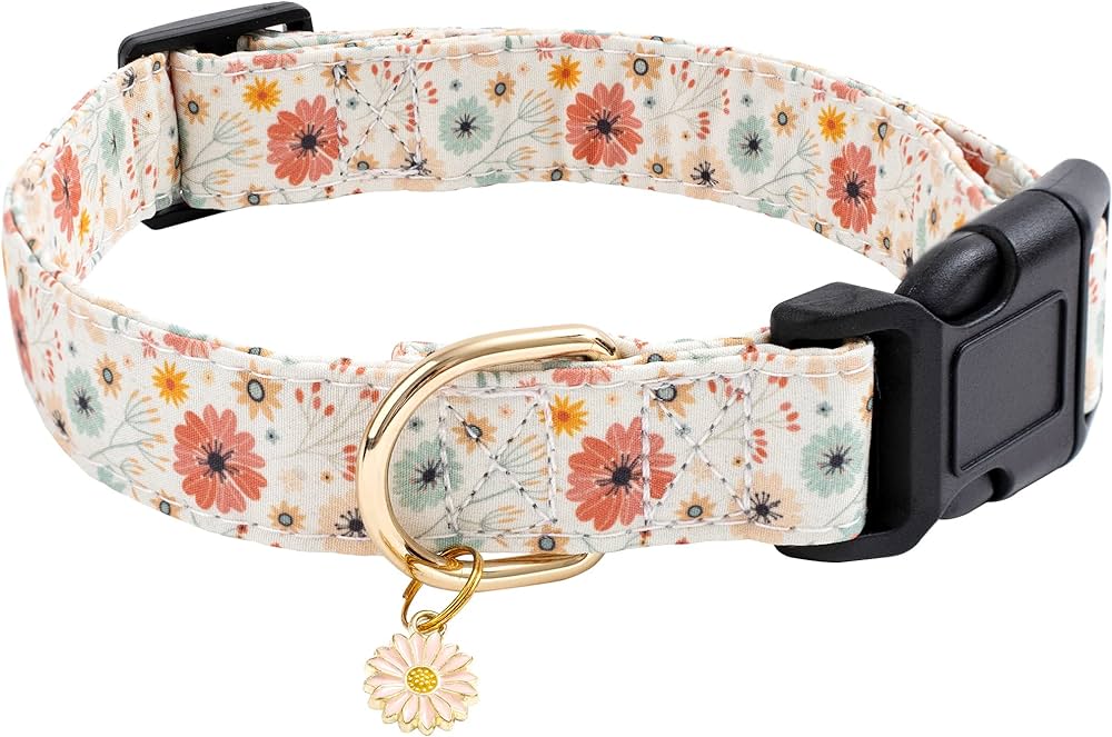 Designer Dog Collars and Leashes &#8211; A Buyer’s Guide