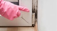 Mold and Moisture Control &#8211; The Key to a Healthy Home Environment