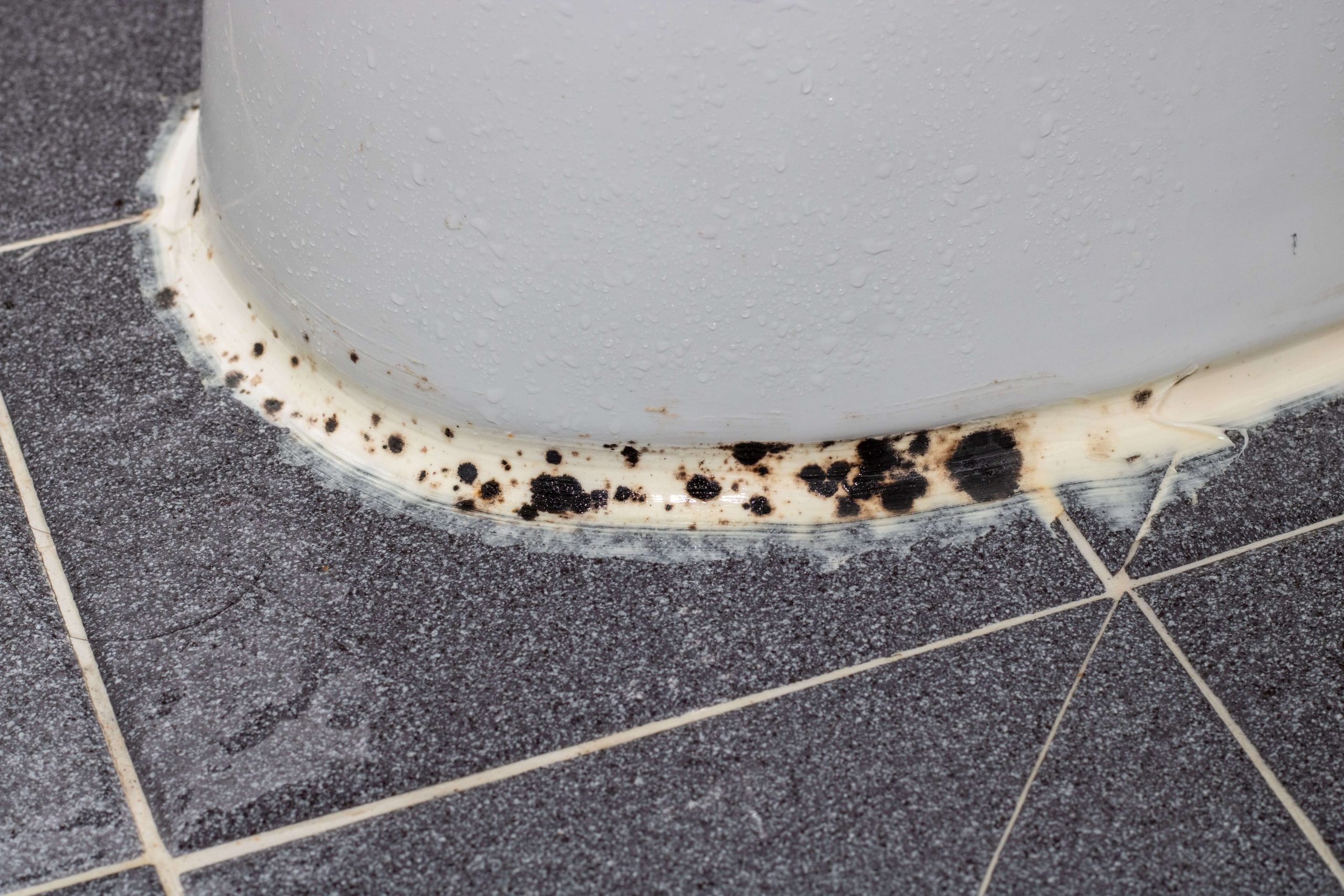 Mold and Moisture Control &#8211; The Key to a Healthy Home Environment