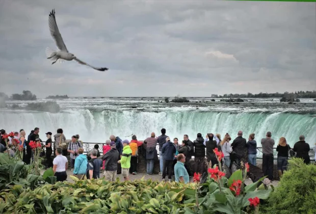 Niagara Falls for Nature Lovers ─ Explore the Falls and Surrounding Wildlife