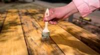 High-Performance Coatings for Exterior and Interior Applications